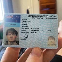 Driver Licence Birth Year Edit