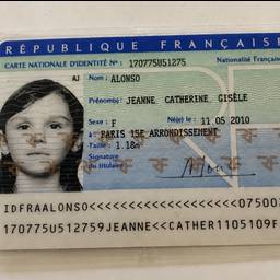 French ID Card Text Edit