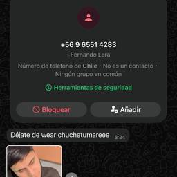 Antes - Edição de texto em chat do WhatsApp