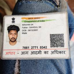 Aadhaar Card Photo Swap