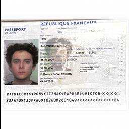 Avant - Modifier l'Année de Naissance sur Passeport