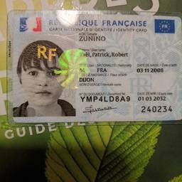 French ID Card Date Edit