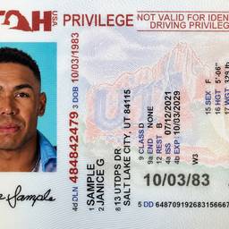 Después - Intercambio de Rostro en Foto de Documento