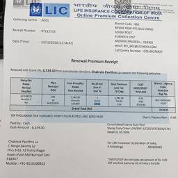 Receipt Amount Editor AI