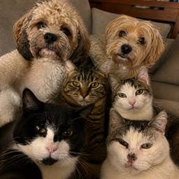 Pet Group Selfie