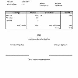 Pay Stub Salary Edit