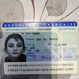 French ID Card DOB Edit