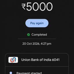 UPI Payment Screenshot Edit