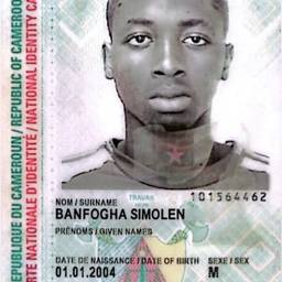 Before - Cameroon ID Photo Swap