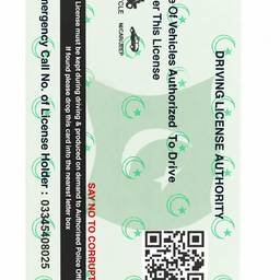 Driver's License White Background