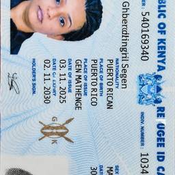 Kenyan ID Card Photo Swap