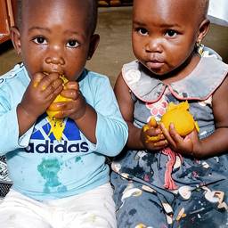 Twin Sisters Photo Merge