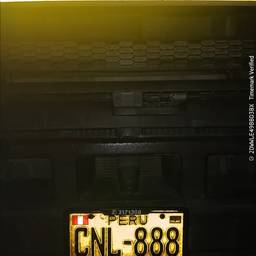 License Plate Number Edit