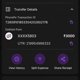 UPI Payment Screenshot Edit