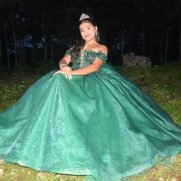 Before - Emerald Gown Night Portrait