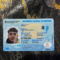 Argentine DNI Card Edit