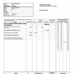 Payslip Date Editor