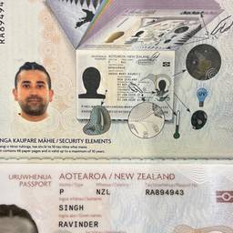 Before - Passport Birth Year Edit