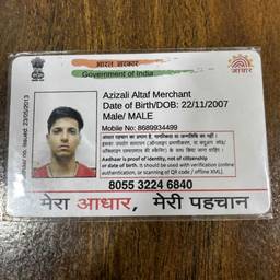 Aadhaar Card Year Editor