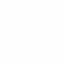Clean Official Letterhead Template