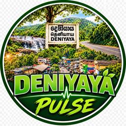 Deniyaya Pulse Circle Logo