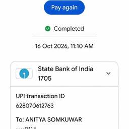 UPI Payment Screenshot Edit