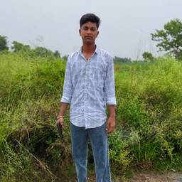 Add Gun to Photo
