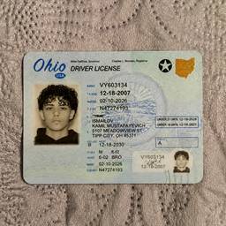 Ohio Driver License Edit