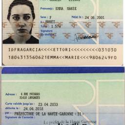 French ID Card Year Edit