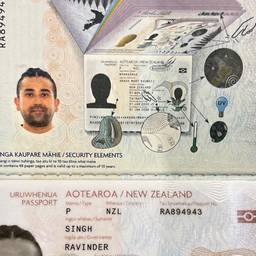 Passport Birth Year Edit