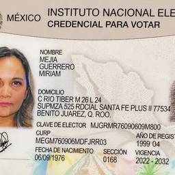 Mexican Voter ID Crop