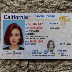 California Driver License Edit
