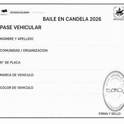 Vehicle Pass Document Scan