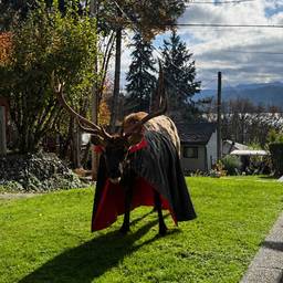 After - Dracula Elk Costume
