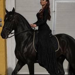 Depois - Retrato equestre elegante