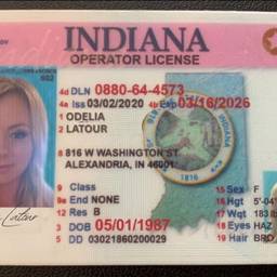 Change Last Name On Driver'S License AI - Free Online Tool | ImageGPT