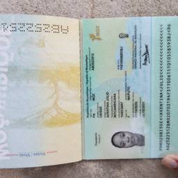 Passport Birth Year Edit