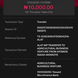 Realistic Bank Transfer Receipt