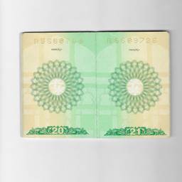 After - Banknote Stamp Removal