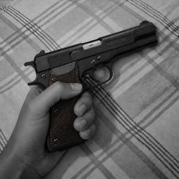 Slim Hand Gun Photo