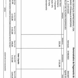 Payslip Document Edit