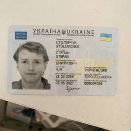 After - Passport Birth Year Edit