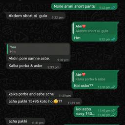 Depois - Edição de Conversa do WhatsApp em Bengali