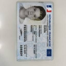 French ID Card DOB Edit