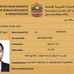 UAE Work Permit Expiry Edit