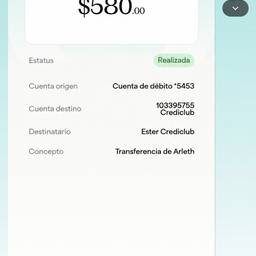 Payment Screenshot Date Edit