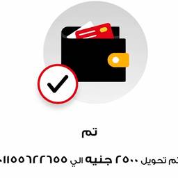 Arabic Payment Amount Edit