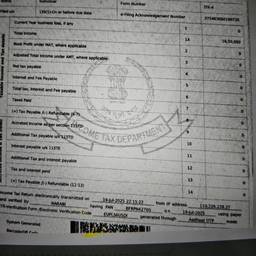 Edit Tax Document Amount
