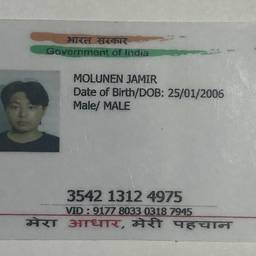 Aadhaar Card Year Edit