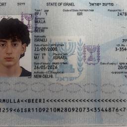 Depois - Editar ano de nascimento no passaporte